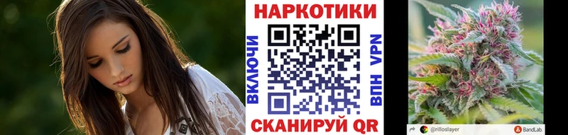 Купить закладку Alpha PVP  МЕФ  МАРИХУАНА  Галлюциногенные грибы  Кокаин  Плёс