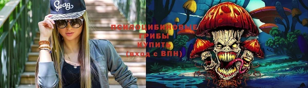 скорость Алексин