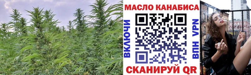 Купить где Плёс Дистиллят ТГК вейп с тгк