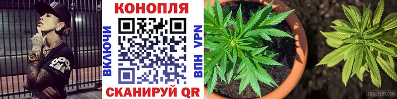 МАРИХУАНА Bruce Banner  Купить  Плёс 